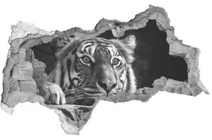Autocolant un zid spart cu priveliște Tigru