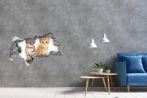 Autocolant de perete gaură 3D Pisica Brown si ghimbir