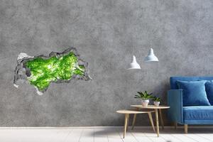 Autocolant de perete gaură 3D Pădure verde