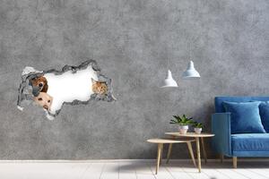 Fototapet 3D gaură în perete Câini și pisici