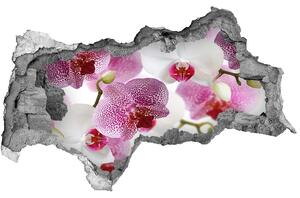 Fototapet un zid spart cu priveliște picturi murale orhidee