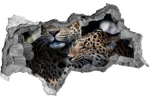 Autocolant 3D gaura cu priveliște doi leoparzi