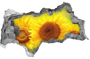 Autocolant gaură 3D Floarea soarelui