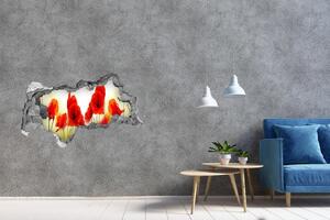 Autocolant de perete gaură 3D picturi murale Maci