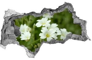 Autocolant autoadeziv gaură Flori de primăvară