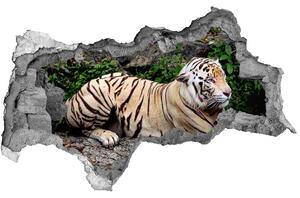 Fototapet 3D gaură în perete Tiger pe stâncă