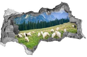 Autocolant autoadeziv gaură Oi în munții Tatra