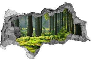 Autocolant de perete gaură 3D pădure de molid