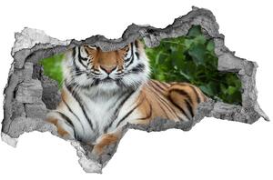 Fototapet 3D gaură în perete tigru siberian