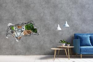 Fototapet 3D gaură în perete tigru siberian