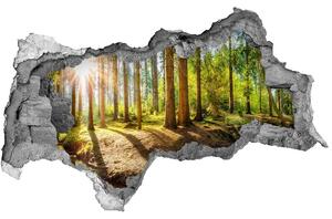 Autocolant 3D gaura cu priveliște Panorama de pădure