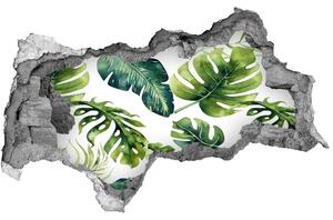 Autocolant autoadeziv gaură frunze tropicale