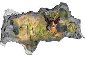 Autocolant 3D gaura cu priveliște Deer în domeniu