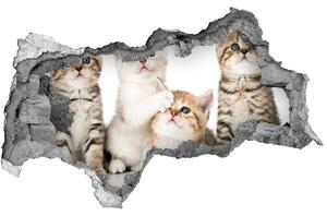 Autocolant un zid spart cu priveliște Autocolant pisici de talie mică