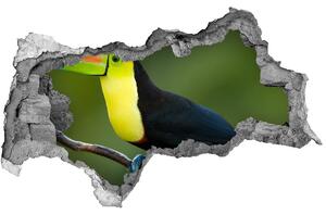 Autocolant 3D gaura cu priveliște Toucan
