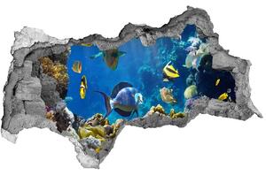 Autocolant 3D gaura cu priveliște recif de corali