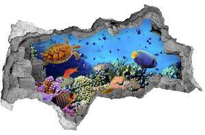 Autocolant gaură 3D recif de corali
