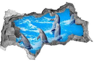 Autocolant 3D gaura cu priveliște delfini
