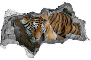 Fototapet un zid spart cu priveliște Tiger pe un copac