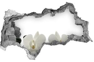 Fototapet 3D gaură în perete Orhidee