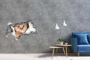 Autocolant un zid spart cu priveliște Pisică