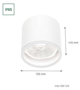 Spot pentru baie CHLOE AR111 1xGU10/12W/230V IP65 alb rotund
