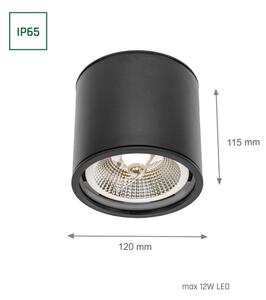 Spot pentru baie CHLOE AR111 1xGU10/12W/230V IP65 negru rotund