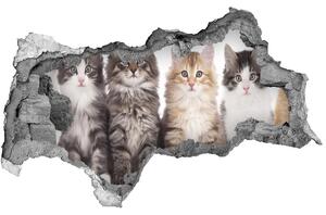 Autocolant 3D gaura cu priveliște șase pisici