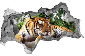Fototapet un zid spart cu priveliște Tiger pe stâncă