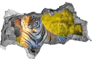 Autocolant gaură 3D Portret de un tigru