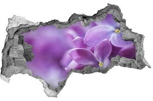 Autocolant de perete gaură 3D Flori de liliac