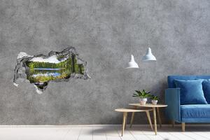 Autocolant de perete gaură 3D Panorama de pădure
