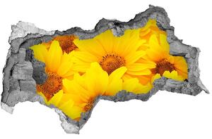 Autocolant de perete gaură 3D Floarea soarelui