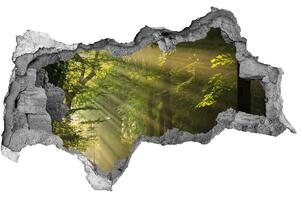 Fototapet 3D gaură în perete Pădurea în soare