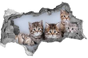 Autocolant 3D gaura cu priveliște cinci pisici