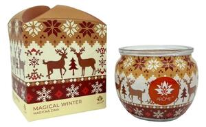 Lumânare Arome în sticlă și cutie de flori,Magical Winter, 90 g