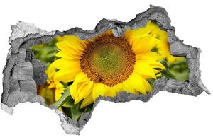 Autocolant autoadeziv gaură câmp de floarea-soarelui