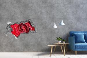Fototapet 3D gaură în perete Picături de apă pe un trandafir