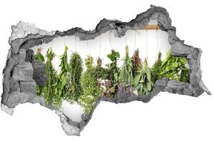 Autocolant 3D gaura cu priveliște Grădina de plante aromatice „Gauă în perete”