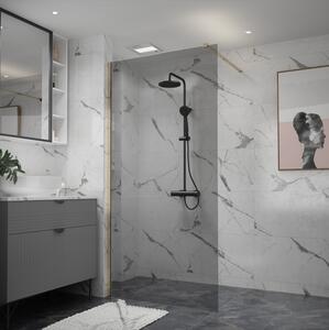 Erga Paris, Paravan de duș Walk-In 50x200 cm, sticlă gri 8mm, profil auriu lucios, ERG-V02-PARIS-050x200-GR-GD