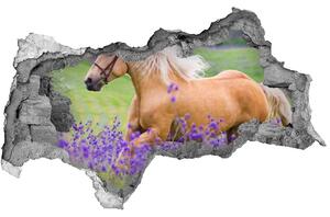 Fototapet 3D gaură în perete Un cal într-un câmp de lavandă
