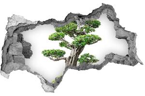 Autocolant gaură 3D copac bonsai