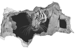 Fototapet un zid spart cu priveliște Tigru