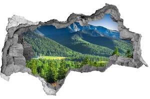 Fototapet 3D gaură în perete Dealul din Tatra
