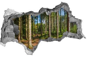 Fototapet un zid spart cu priveliște O cărare de pădure în desișul copacilor