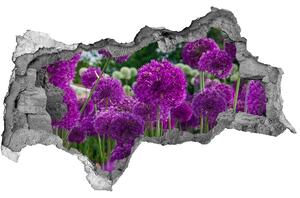 Autocolant de perete gaură 3D Flori de usturoi