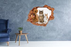 Autocolant 3D gaura cu priveliște Câine și pisică