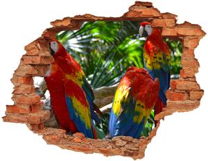 Autocolant autoadeziv gaură papagali Macaws