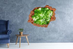 Fototapet 3D gaură în perete Pădure verde