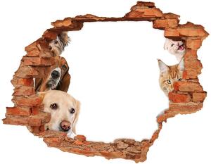 Fototapet un zid spart cu priveliște Câini și pisici